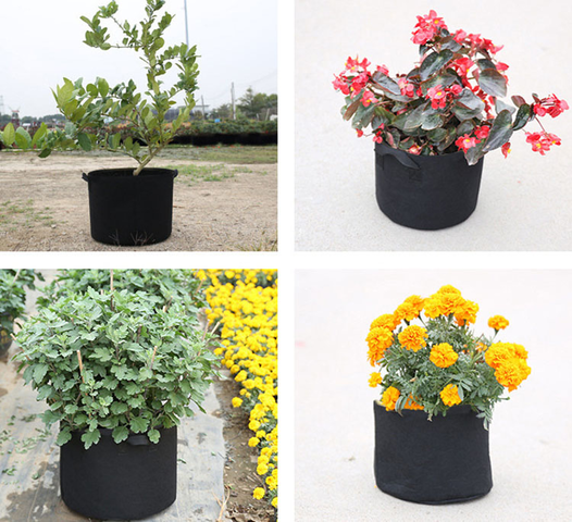 GrowBag_a