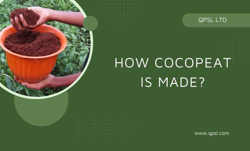 How Cocopeat is Made