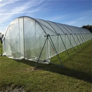 GREEN HOUSE